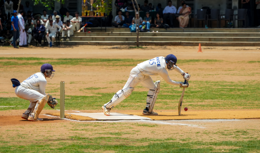 Cricket 2 (2)@2x